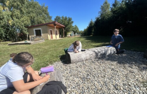 IMG_3982.jpeg