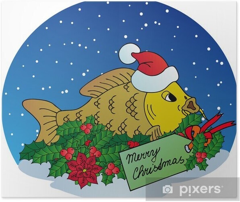 Soutěž - Vánoční kapr