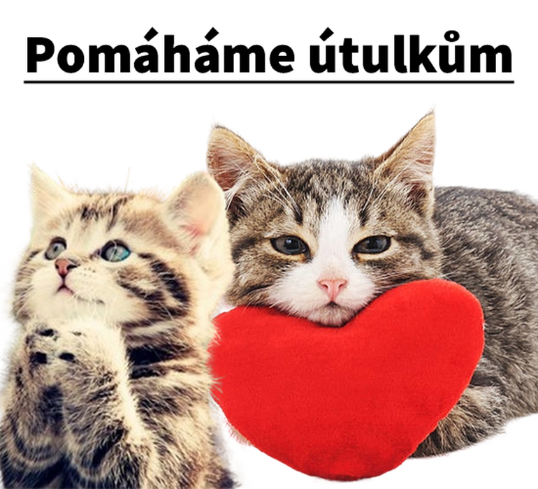 Projekt školního klubu : Pomáháme útulkům