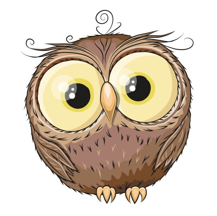 Soutěž - Křivoklátská sovička